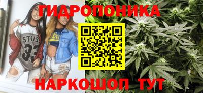 молекула духа Кулебаки