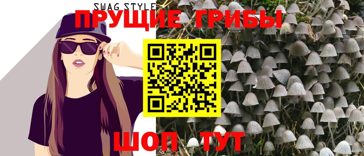 Галлюциногенные грибы Magic Shrooms  Вход с VPN  Кингисепп 